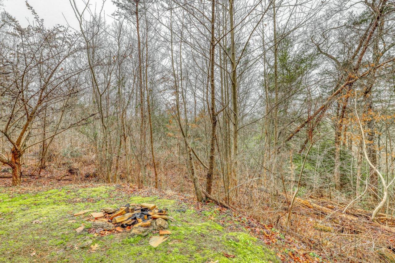 Villa A Bear Pause Blue Ridge Exterior foto